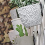 Mur papier peint lierre décoration couloir